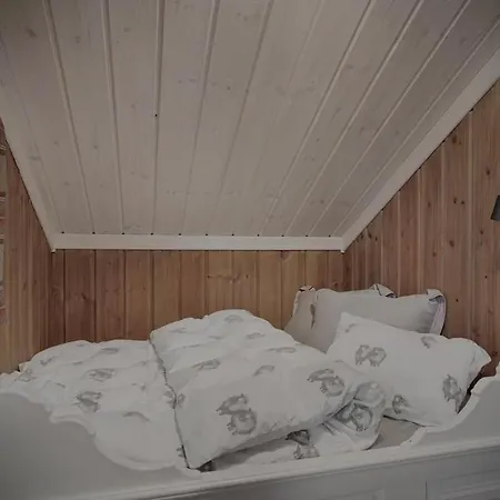Feriehus Great Mountain With 12 Beds Vågsli