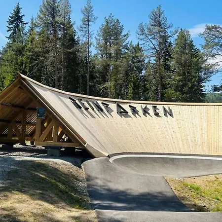 Great Mountain With 12 Beds Feriehus Vågsli