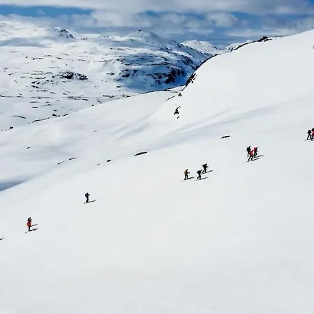 Great Mountain With 12 Beds Feriehus