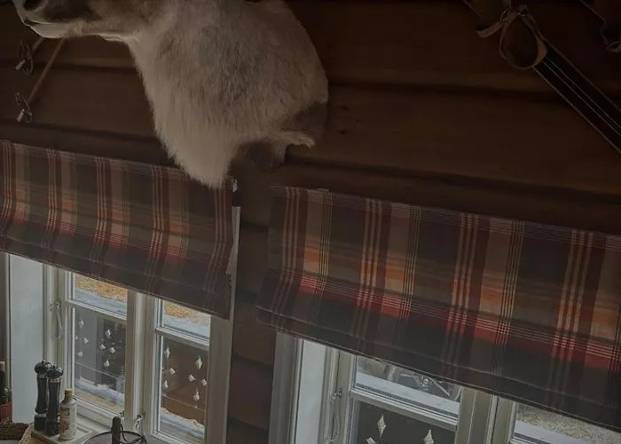 Great Mountain With 12 Beds Feriehus *