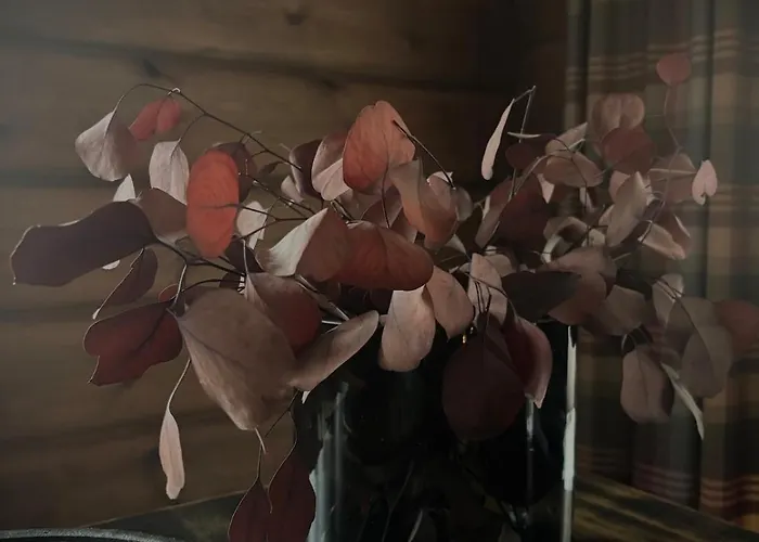 Feriehus Great Mountain With 12 Beds Vågsli