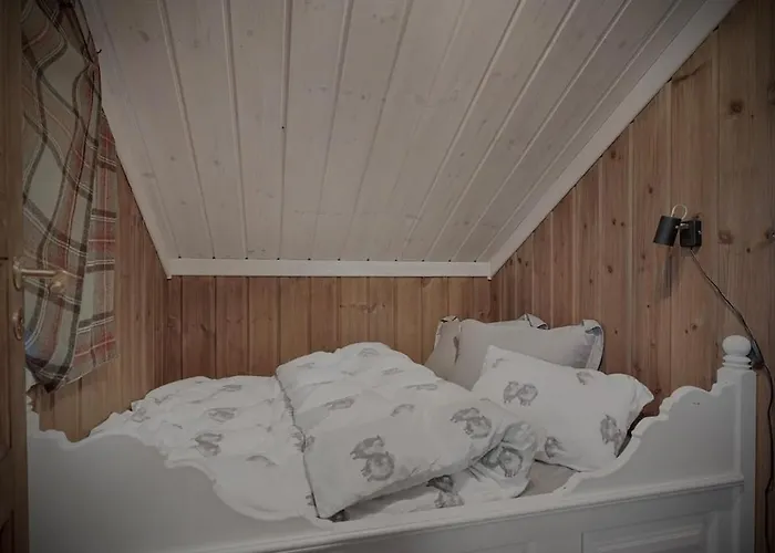 Feriehus Great Mountain With 12 Beds Vågsli