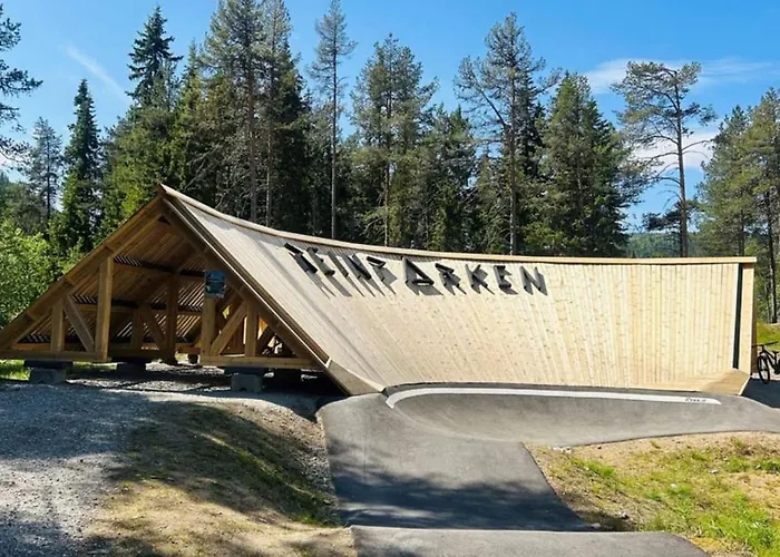 Great Mountain With 12 Beds Feriehus Vågsli