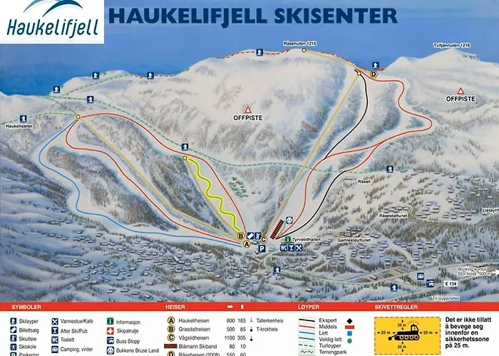 Great Mountain With 12 Beds Feriehus *