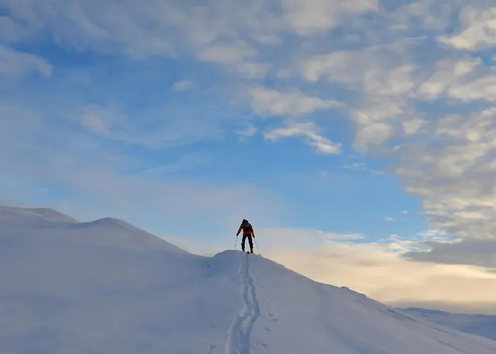 Great Mountain With 12 Beds Feriehus