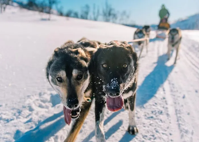 Great Mountain With 12 Beds Feriehus Vågsli