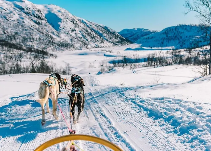 Great Mountain With 12 Beds Feriehus Vågsli