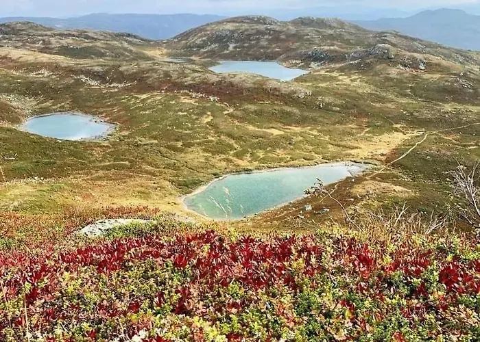 Great Mountain With 12 Beds Feriehus Vågsli