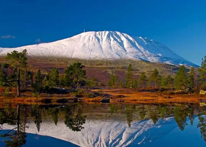 度假居 Great Mountain With 12 Beds