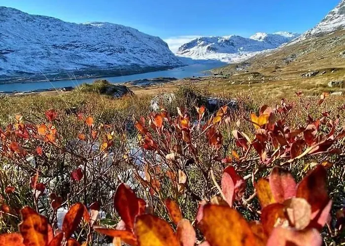 Feriehus Great Mountain With 12 Beds Vågsli